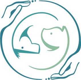 logo del sitio web