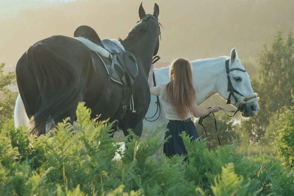 imagen de mujer con caballo